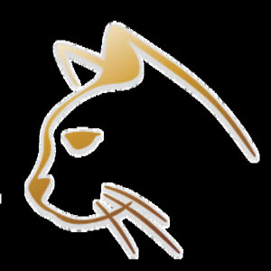 Source: profile picture from 2022-11-20