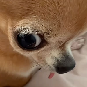 Source: profile picture from 2026-04-13