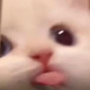 Source: profile picture from 2026-04-30