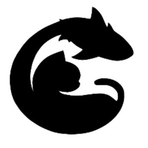 Source: profile picture from 2025-01-06