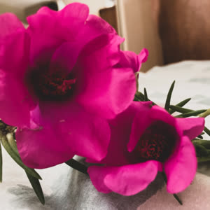 Source: profile picture from 2026-01-19