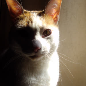 Source: profile picture from 2026-07-13