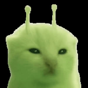 Source: profile picture from 2026-08-03