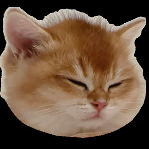 Source: profile picture from 2024-07-15