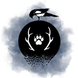 Source: profile picture from 2022-11-20