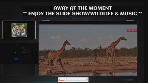 **AWAY ATM ** Wild Life in Africa & Music ** |  Xbox X  |  Relaxing & Chilling💰 |  Age 18+ ONLY