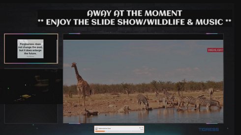 **AWAY ATM ** Wild Life in Africa & Music ** |  Xbox X  |  Relaxing & Chilling💰 |  Age 18+ ONLY