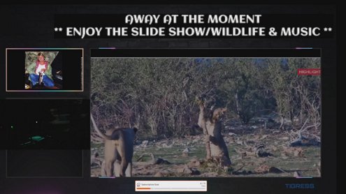 **AWAY ATM ** Wild Life in Africa & Music ** |  Xbox X  |  Relaxing & Chilling💰 |  Age 18+ ONLY