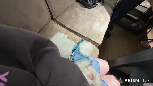 IRL ДЕГУСТАЦИЯ ДЕСЕРТОВ  !тг !gta