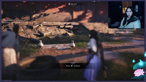 What am I getting into?