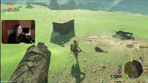 hallo naaa 🐝 | -> First Time Zelda BotW 🌱| !discord !karte