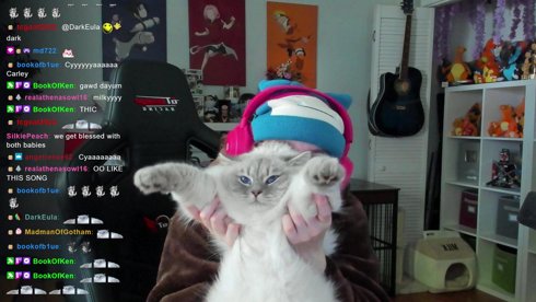 🏰 BALDUR'S GATE 3 🏰 DAY 42 🏰 4PM EST 🏰 DAILY 🏰 !discord !pobox !wishlist 🏰