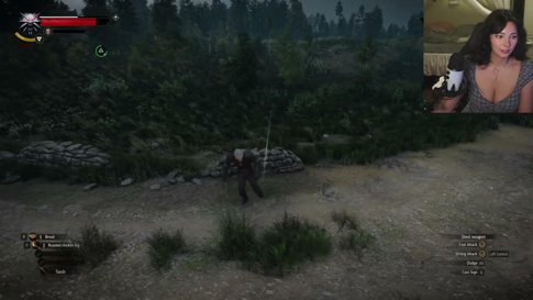 witcher 3 but i cant use the w, i, t, c, h, e, or r keys