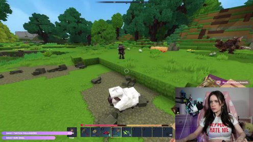 [EN] HYPETALE- Hytale excited waiting room - !s !youtube (I am learning editing if you wanna check !edit)