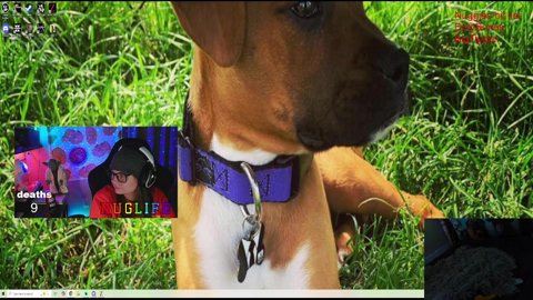 <3 Not now kitten daddys low ballin' traders in Arc Raiders <3