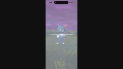 ZACIAN RAID HOUR + dynamax pups are here! || STREAMING FOR 200 HOURS IN AUGUST || I HAVE FREEKIN MERCH !merch || !discord