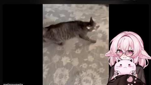 Subathon Day 1! HAPPY HAPPY CATTO!