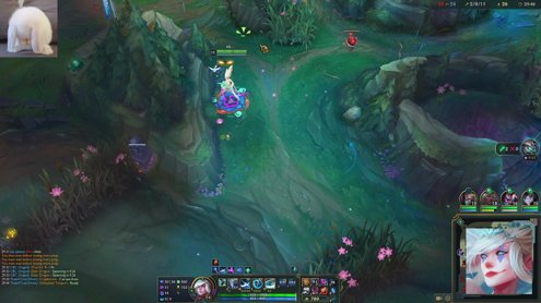 NASoloq - D1 Janna Main