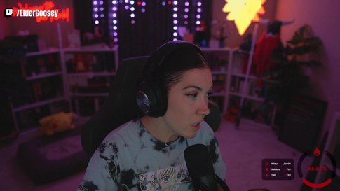 1YR PARTNER CELEBRATION!  Socials- @eldergoosey !yt !discord !corsair !advgg