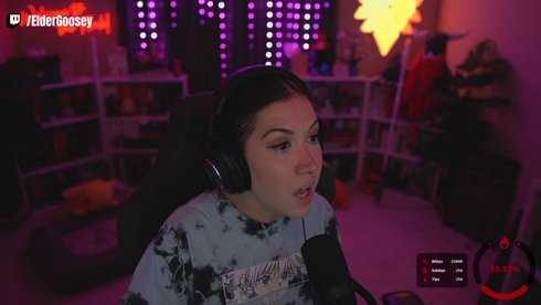 1YR PARTNER CELEBRATION!  Socials- @eldergoosey !yt !discord !corsair !advgg