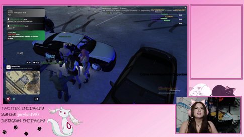 Being toxic in GTA CALIRP !commands