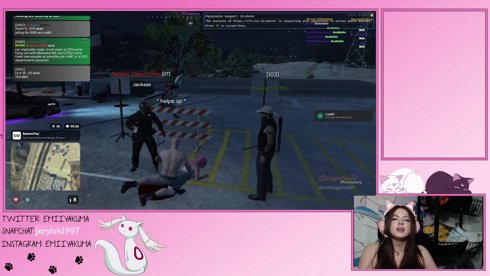 Being toxic in GTA CALIRP !commands