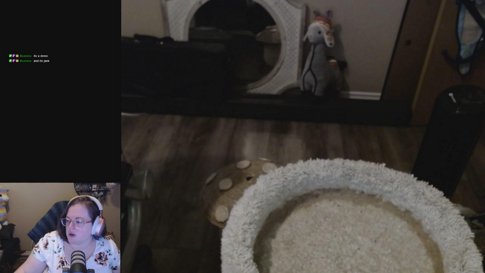 I only wish I could have this many cats to love
