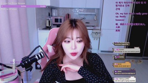 Zoinkx Come back again