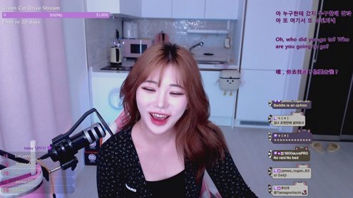 Zoinkx Come back again