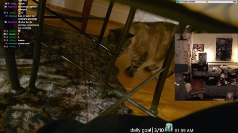 maybe last stream before japan?? solo q | arc raiders later|✈️ALGS 2026 JAPAN |!discord |