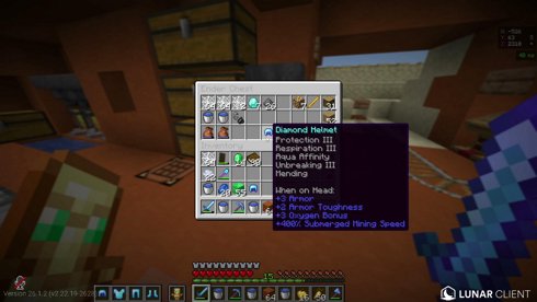 Lifesteal SMP Grinding