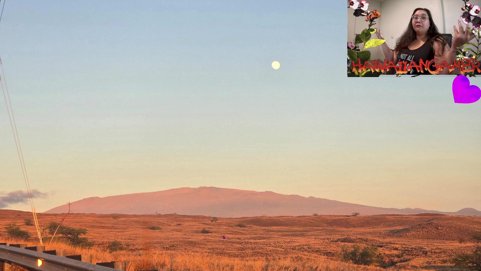 Chat can't get me to laugh! | Try not to Laugh