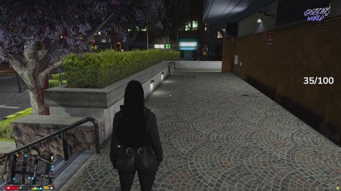 NEW BEGINNINGS AMANDA SILVERS RIP N.AMES| LSPD x Grizzley World RP !socials