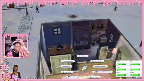More Sims until I get tired
