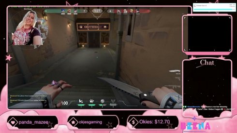 ❤️💀 I Came. I Saw. I Bottom Fragged.💀❤️| VALORANT !!Discord !Socials