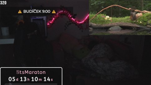 🤍itsMarathon - VEČERNÍ CHILL PO NÁROČNÉM IRL 🤍STARTUJEM🤍!program🤍INSANE SUBATHON🤍!itscandles🤍!skinbaron🤍 (IG - itsterezcz)🤍