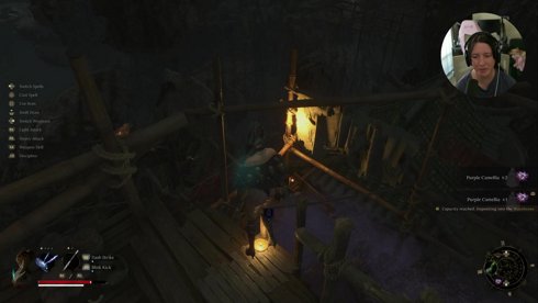Playing Wuchang Fallen Feathers