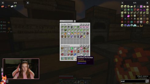 minecraft forverrrr | modded minecraft 26.2 | !discord !followage !commands |