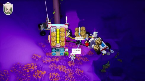 new DLC w/ @nikez | ig: kate.ttv