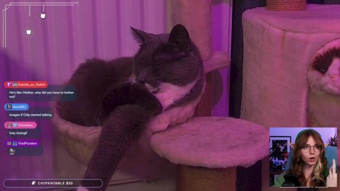 CD-i Zelda Time! ✨PARTNER ANNIVERSARY ✨| First Playthrough | [frontpage]