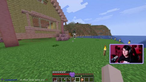 ˚ʚ♡ɞ˚MINECRAFT DE CHILL FT FIREDUDE premio al mejor clip ♥  !of !redes ♥