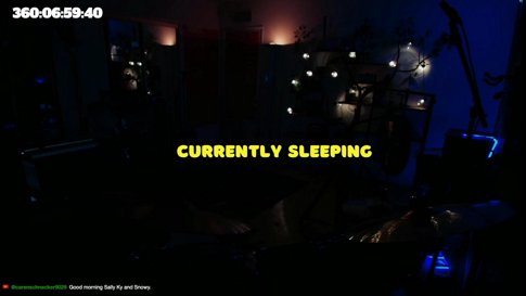 making 365 songs in 365 days (24/7 Stream)
