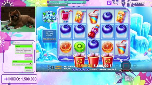 +18 🍒Lunes, otro lunes, tardinal con la peka  !respin 💜