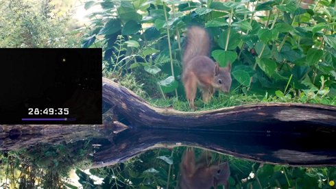 EXTENSIBLE PQ ES MI CUMPLE ☝️🤓 !precios