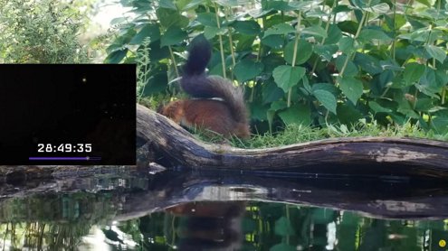 EXTENSIBLE PQ ES MI CUMPLE ☝️🤓 !precios