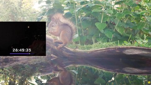 EXTENSIBLE PQ ES MI CUMPLE ☝️🤓 !precios