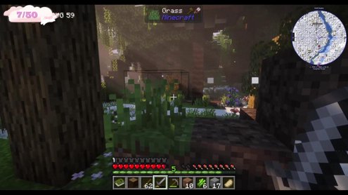 CHICHIMAS! 🤶🎄❄️ BUILDING MY HOUSE!