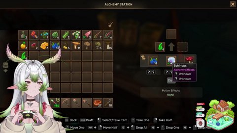 DROPS📜🌿Let's Go On An Adventure!