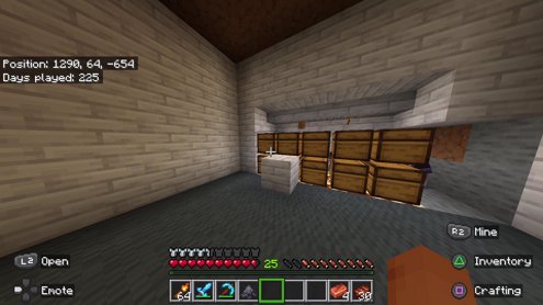 (21 ) Mc Activities| !pp !hug !warning