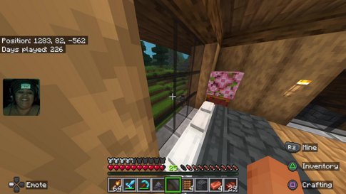 (21 ) Mc Activities| !pp !hug !warning